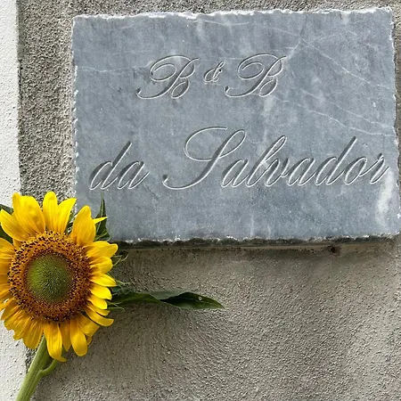 Da Salvador Papasidero