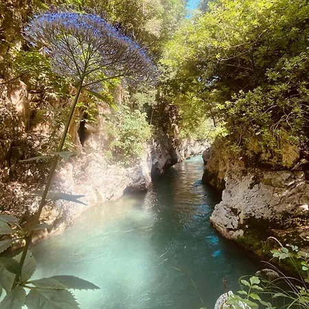 Frühstückspension Da Salvador Papasidero