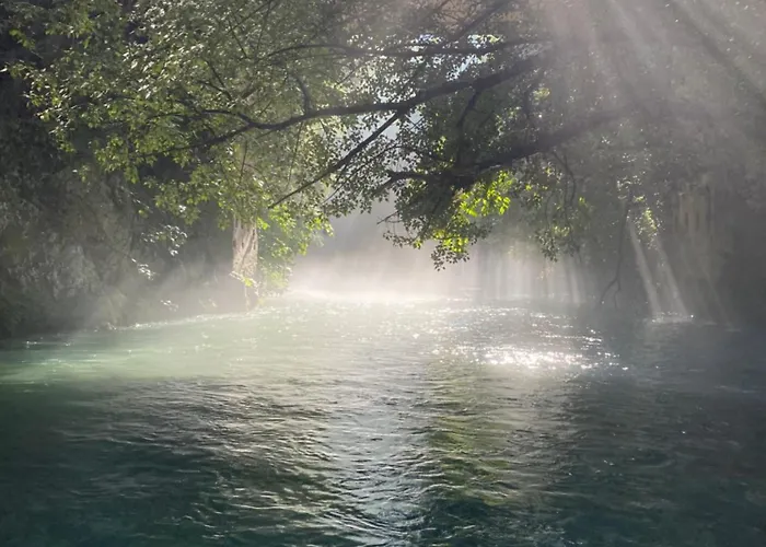 Da Salvador Alojamento de Acomodação e Pequeno-almoço Papasidero