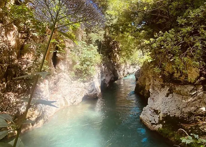 Alojamento de Acomodação e Pequeno-almoço Da Salvador Papasidero